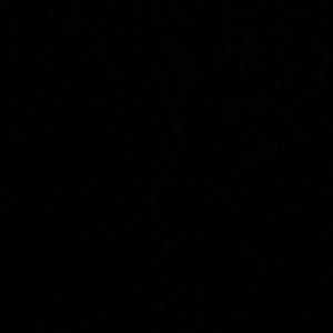 Meet your Posher, Sandy